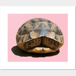 Tortoise Tucked In Vector Art Cut Out Posters and Art